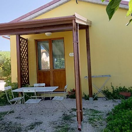 Agriturismo I Ciliegi Appartamento Ginestra Montignano Exterior photo
